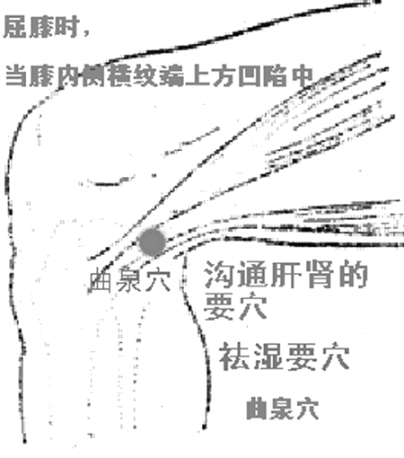 中医保健：快速找准身体穴道